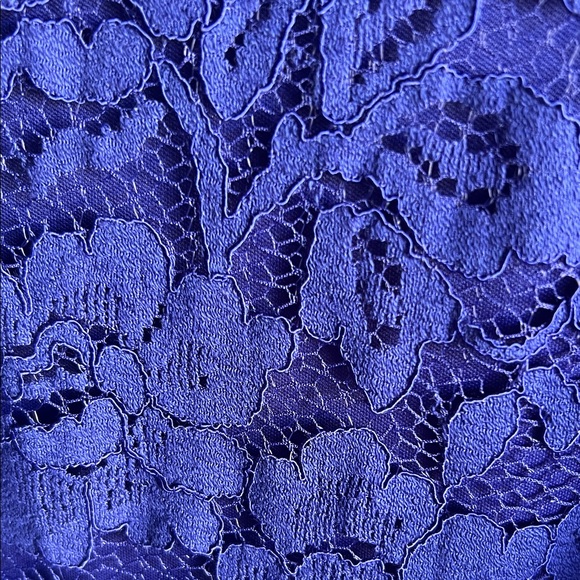 Vince Camuto Royal Blue Lace Dress - Picture 3 of 10